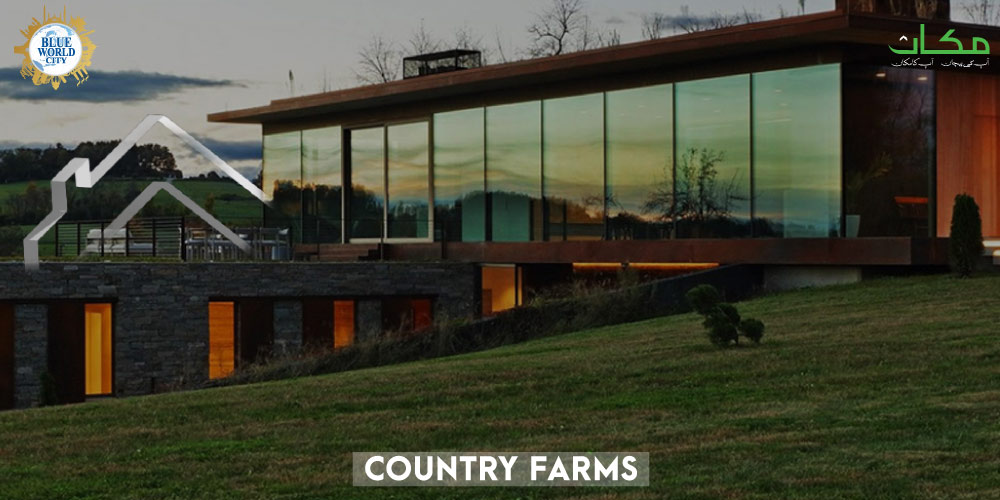 Blue Hills Country Farm